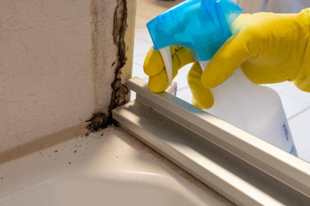 Best Water Damage Restoration  in Kermit, TX