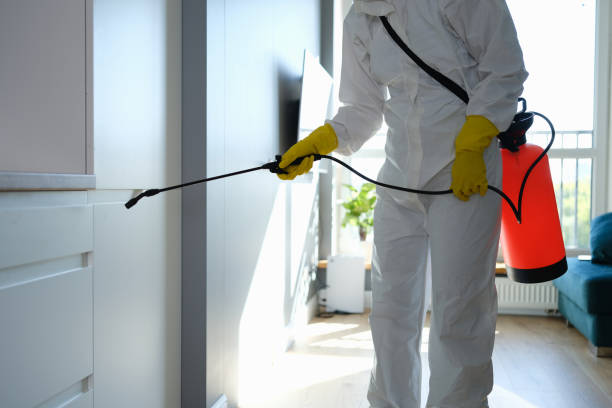 Best Mold Damage Repair  in Kermit, TX