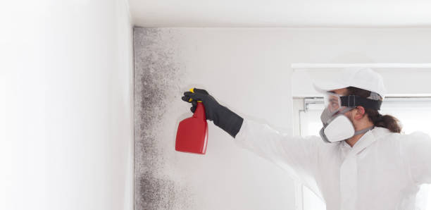 Water Damage Restoration in Kermit, TX