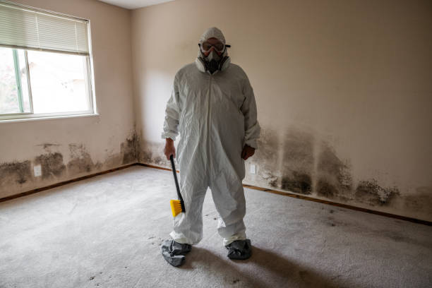 Best Black Mold Removal  in Kermit, TX